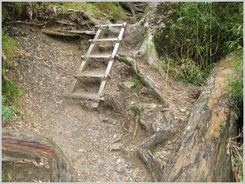2011-11-08 11-22-45回滑雪中心登山口途中.JPG